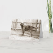 Hoe gaat het met jou? kaart (Voorkant)