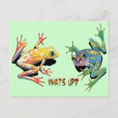 Hoe gaat het met kikkers? briefkaart (Voorkant)
