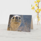 Hoe gaat het met Ya? Wenskaart van Tortoise Kaart (Gele Bloem)