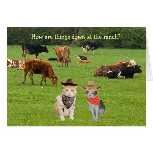 Hoe gaat het op de ranch?! (Voorkant Horizontaal)