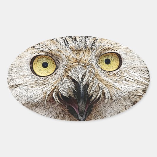 Hoe gaat het? Wie ben jij? Ovale Sticker (Voorkant)