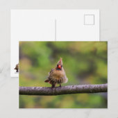 Hoe gaat je dag? briefkaart (Voorkant / Achterkant)