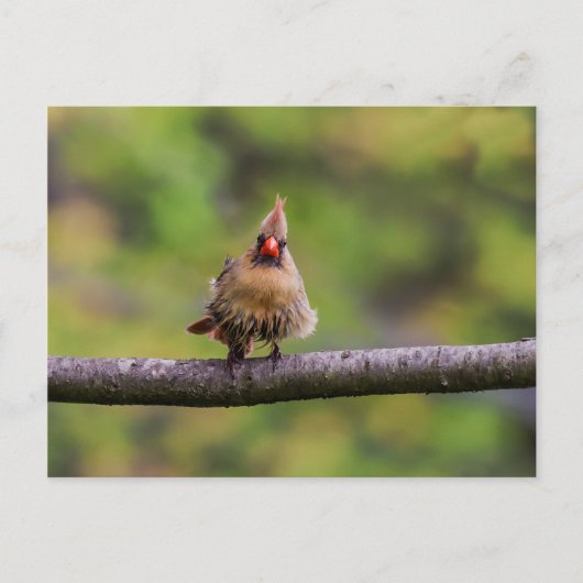 Hoe gaat je dag? briefkaart (Voorkant)