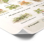Hoe giftige klimop te herkennen – Educatieve botan Poster (Hoek)