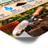 Hoe groeien planten poster (Hoek)