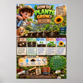 Hoe groeien planten poster (Voorkant)