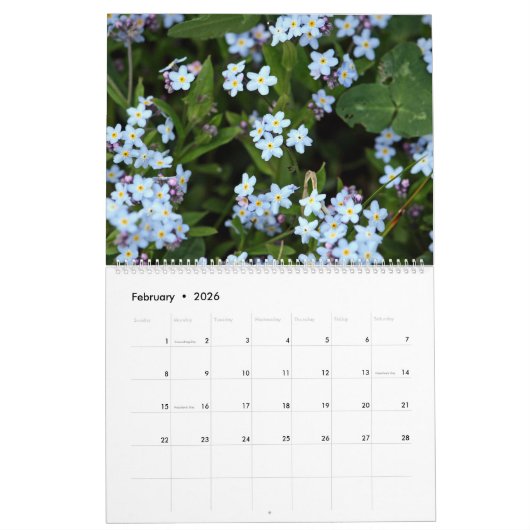 Hoe groeit uw tuin 12 maanden kalender (Feb 2026)