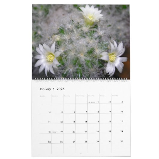 Hoe groeit uw tuin 12 maanden kalender (Jan 2026)