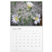 Hoe groeit uw tuin 12 maanden kalender (Jan 2027)