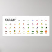 Hoe groot is Baby? Poster van de vrucht die een dr (Voorkant)