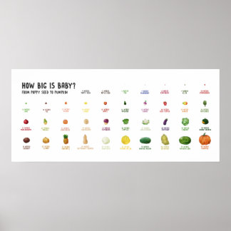 Hoe groot is Baby? Poster van de vrucht die een dr