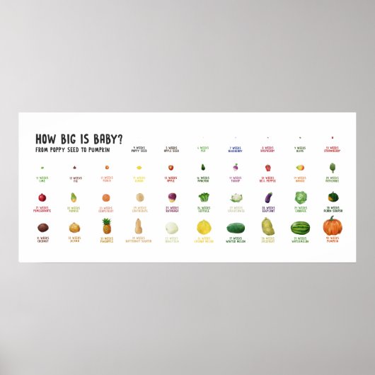 Hoe groot is Baby? Poster van de vrucht die een dr (Voorkant)