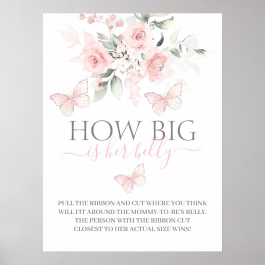 Hoe groot is haar buikvlinder? poster (Voorkant)