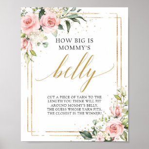 Hoe groot is het bord van mama's buik-spel blush r poster