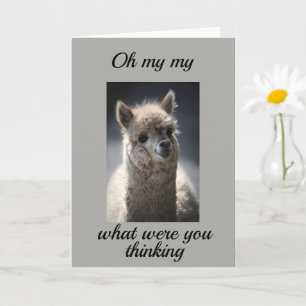 HOE HEB JE DAT GEDOEN *TURNING 16?* KAART