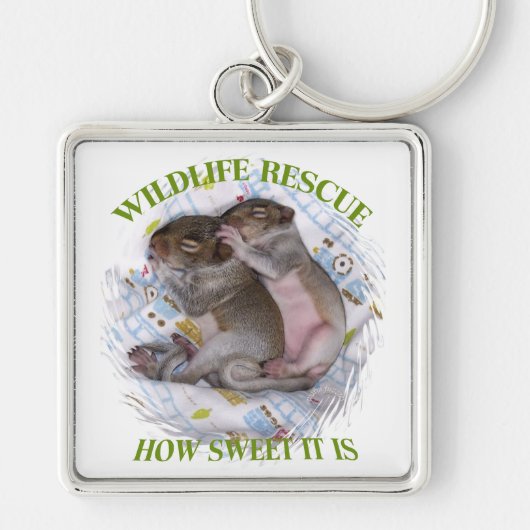 Hoe heerlijke kleine baby's - Wildlife Rescue Sleutelhanger (Voorkant)