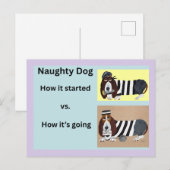 Hoe het begon vs Hoe het gaat Basset Hound Briefkaart (Voorkant / Achterkant)