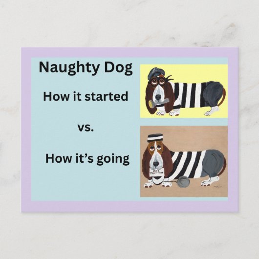 Hoe het begon vs Hoe het gaat Basset Hound Briefkaart (Voorkant)