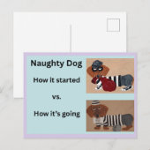 Hoe het begon vs Hoe het gaat Dachshund Briefkaart (Voorkant / Achterkant)