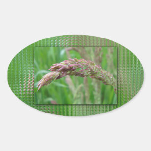 Hoe het gras Stickers kweekt