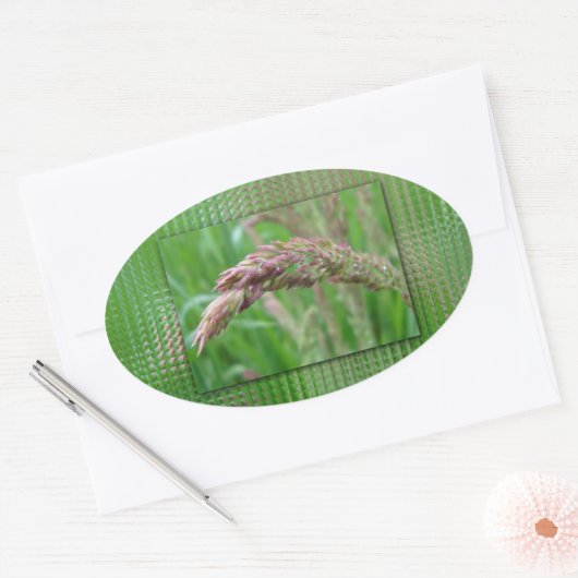 Hoe het gras Stickers kweekt (Envelop)