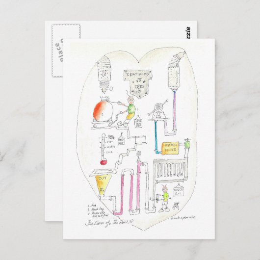 Hoe het hart werkt briefkaart (Voorkant / Achterkant)