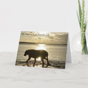 Hoe Honden St. Patrick geïnspireerd hebben Kaart