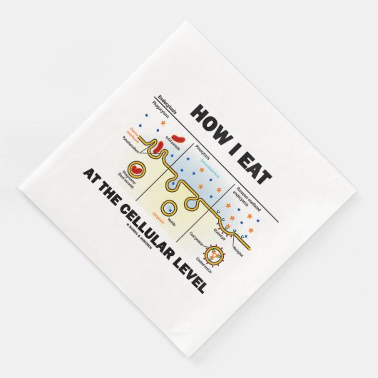 Hoe ik eet op cellulair niveau Endocytose Servet (Hoek)
