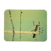 Hoe is dat voor tweeters? magneet (Horizontaal)