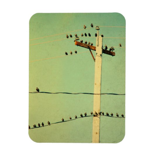 Hoe is dat voor tweeters? magneet (Verticaal)
