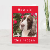 HOE IS DIT GEBEURD??? kaart "HAPPY 12th BIRTHDAY" (Voorkant)