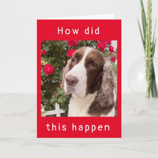 HOE IS DIT GEBEURD??? kaart "HAPPY 12th BIRTHDAY" (Voorkant)