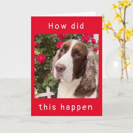 HOE IS DIT GEBEURD??? kaart "HAPPY 12th BIRTHDAY" (Gele Bloem)