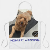 Hoe is het kwispelende chef-koks schort (Voorkant)