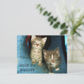 HOE JA DOEN, KAT briefkaart (Staand voorkant)