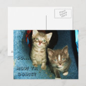 HOE JA DOEN, KAT briefkaart (Voorkant / Achterkant)