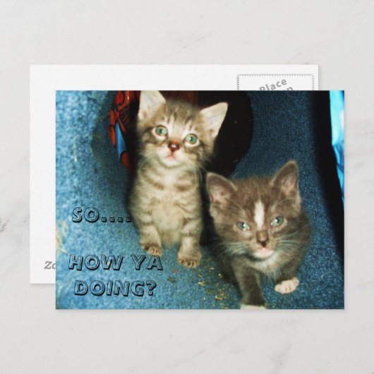 HOE JA DOEN, KAT briefkaart (Voorkant / Achterkant)