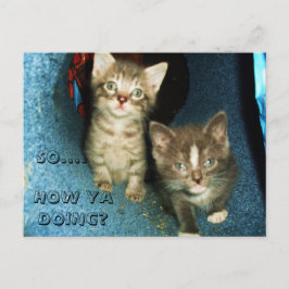 HOE JA DOEN, KAT briefkaart