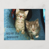 HOE JA DOEN, KAT briefkaart (Voorkant)