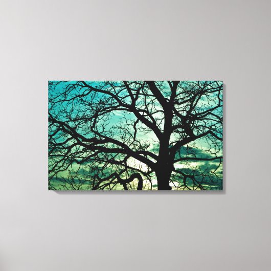 Hoe jaloers is de maan? canvas afdruk (Voorkant)