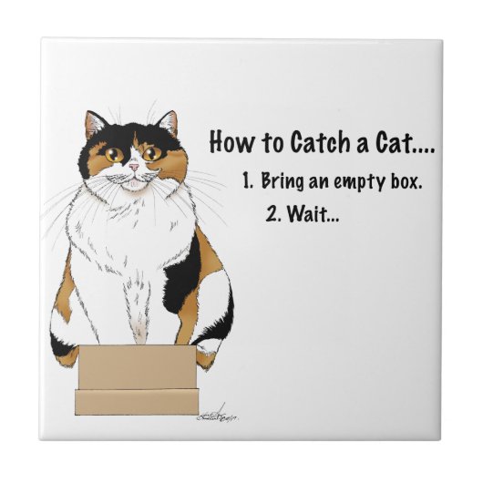 Hoe je een kat vangt tegeltje (Voorkant)