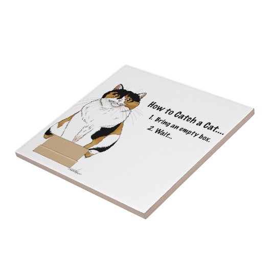 Hoe je een kat vangt tegeltje (Zijkant)