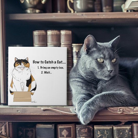 Hoe je een kat vangt tegeltje