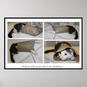 Hoe je je kat in een envelop kunt verschepen...gra poster