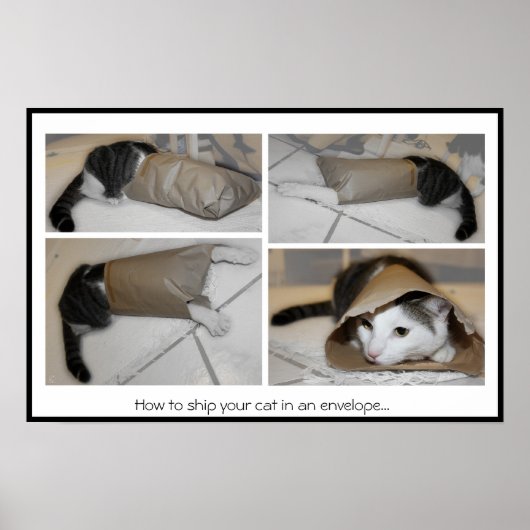 Hoe je je kat in een envelop kunt verschepen...gra poster (Voorkant)