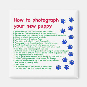 Hoe je je nieuwe puppy fotografeert magneet