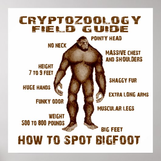 HOE KAN BIGFOOT WORDEN GESTOPT - Cryptozoölogy Fie Poster (Voorkant)
