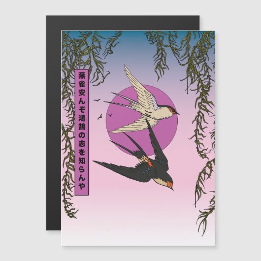 Hoe kan een mus de aspiraties van een zwaan kennen (Voorkant / Achterkant)