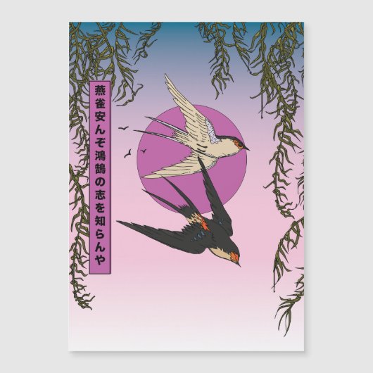 Hoe kan een mus de aspiraties van een zwaan kennen (Voorkant)