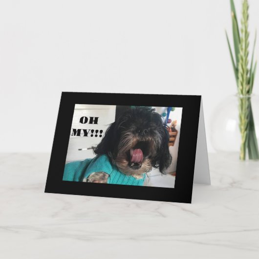 **HOE KAN HET** NOG EEN TWEEDE DAG ZIJN? KAART (Voorkant)